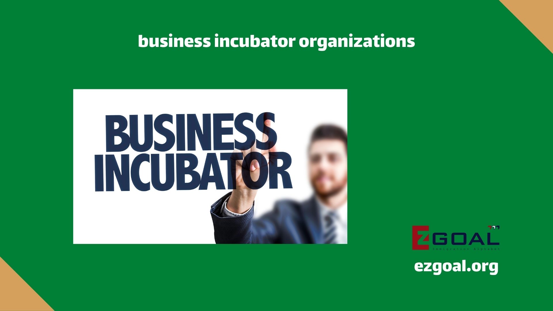 business incubator organizations